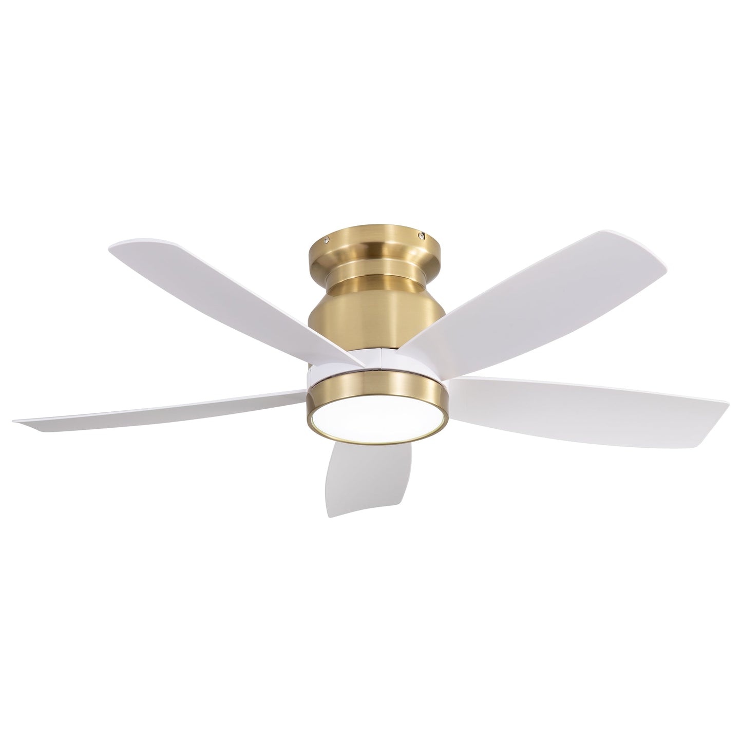 Gold with Black Blades
