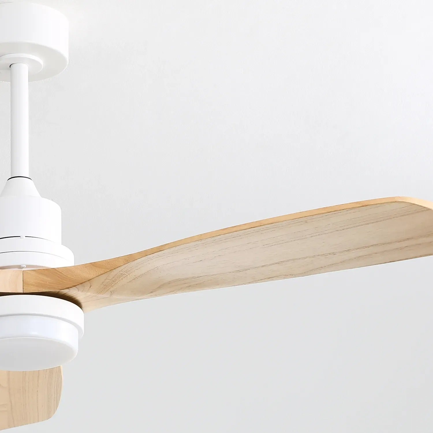 White With Burly Blades
