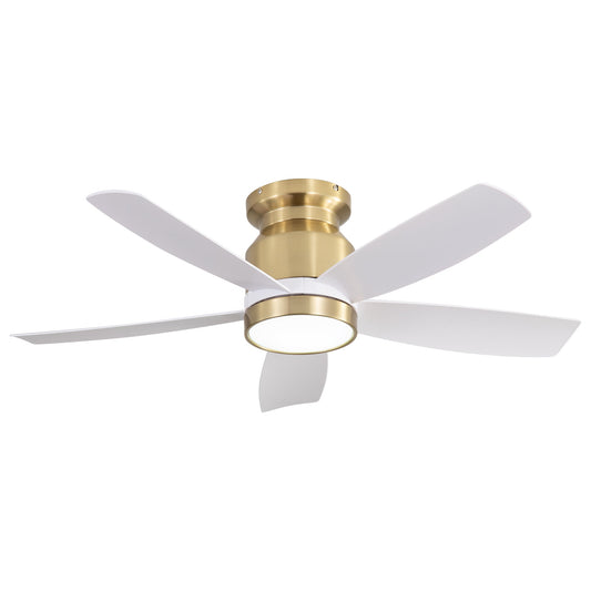 Gold with Black Blades